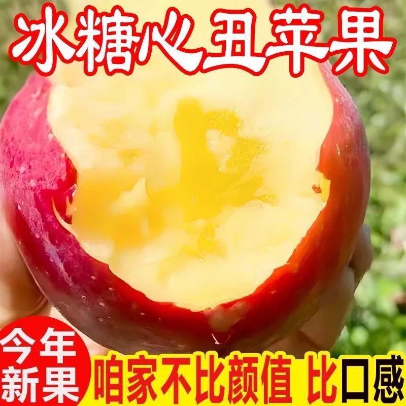 现摘冰糖心苹果【爆甜】四川大凉山冰糖心丑苹果红富士脆甜新鲜水果