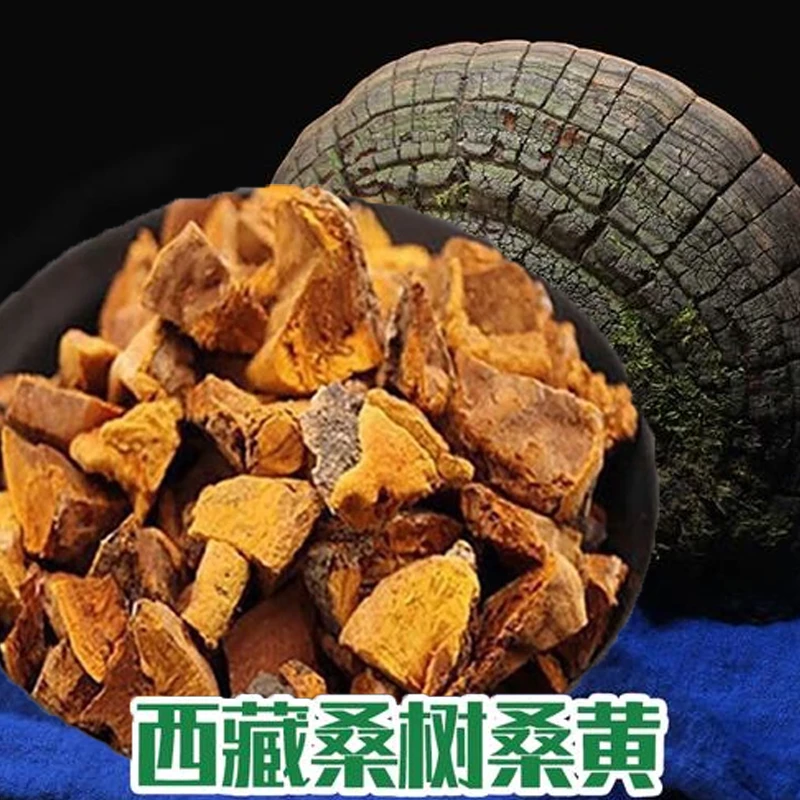 【桑黄茶】甄选西藏桑树 桑黄茶