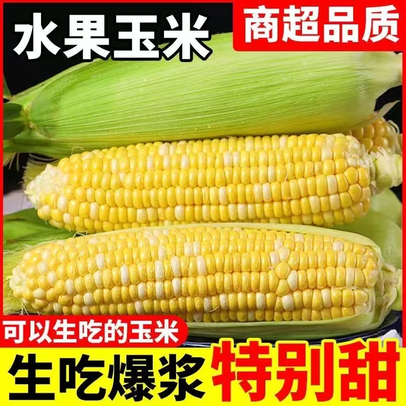 Q1云南高山露天种植水果甜玉米8斤5斤3斤包邮优质香甜甜脆新鲜