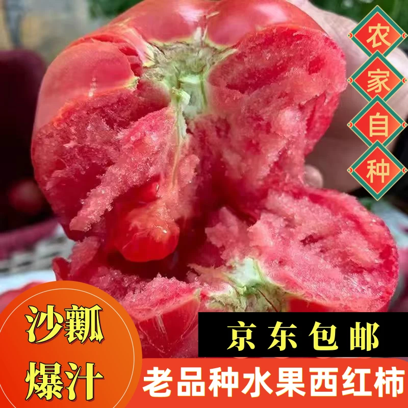 【无土栽培】【京东】山东普罗旺斯西红柿沙瓤多汁4.5-9.5斤坏果包赔