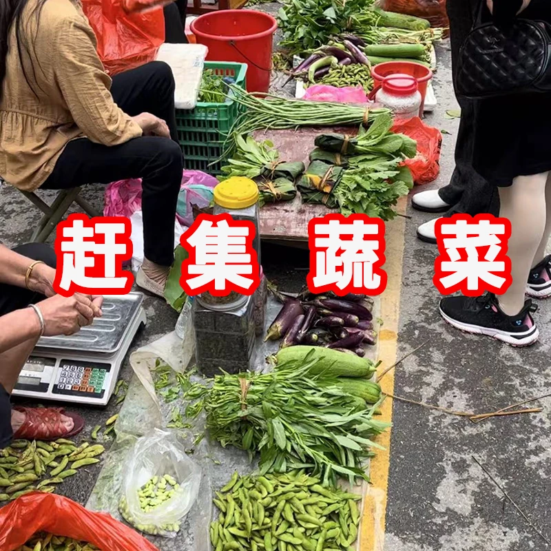 【小萍专属】赣南农家菜新鲜蔬菜