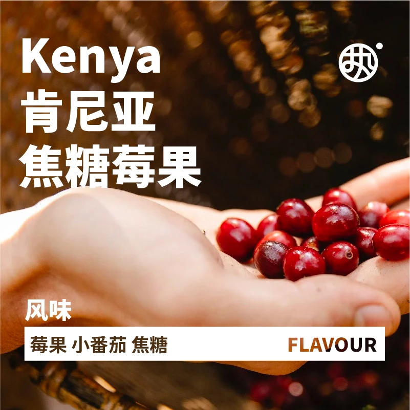 执人执味【焦糖莓果】肯尼亚水洗咖啡精品手冲SOE咖啡豆中烘150g