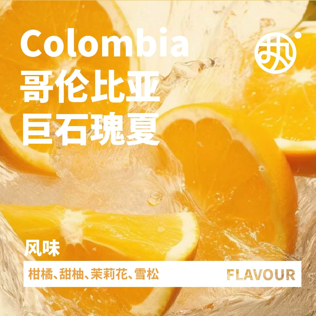 金标【巨石瑰夏】哥伦比亚巨石庄园双重发酵新鲜手冲咖啡豆精品
