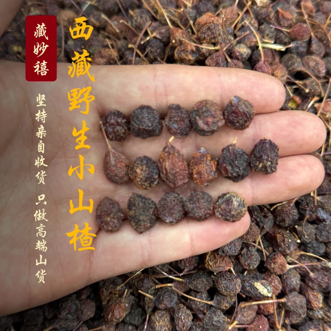 藏妙禧 西藏林芝高海拔野生小山楂
