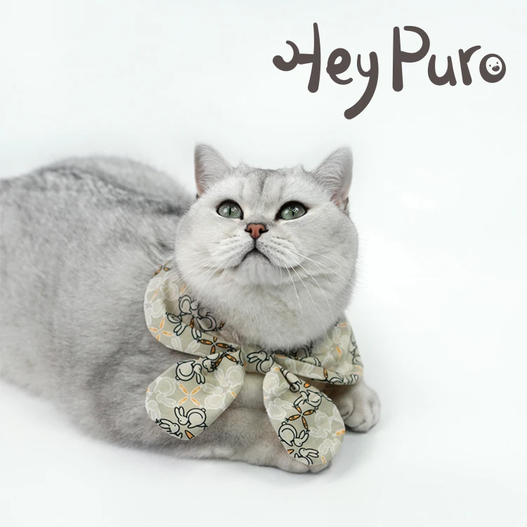 Heypuro萝卜戏法飞边连衣裙原创宠物服装时尚猫狗 非七天无理由