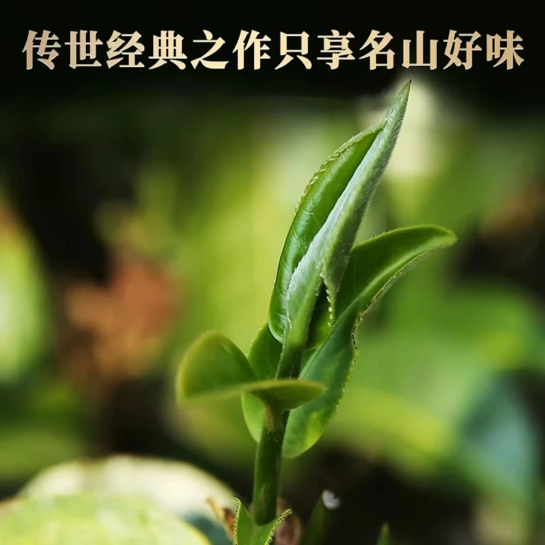 灵蛇献瑞·蛇来送福 新年礼盒代拍链接【老金茶业】-QH