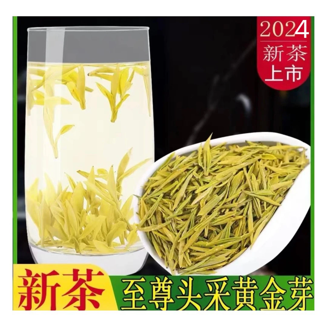 2025新茶明前头采头芽凤形高山黄金芽绿茶茶园顶芽回甘滑口