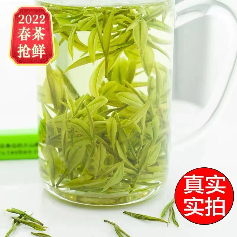 25年新茶明前头采芽西坑松阳高山白茶绿茶茶叶【松州茗苑茶】 送礼
