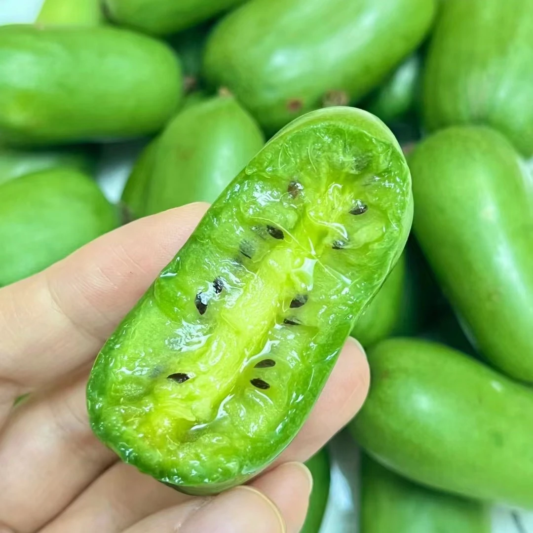 【奇异莓】龙城二号软枣猕猴桃3年树苗 公母授粉 产量超高软糯纯甜