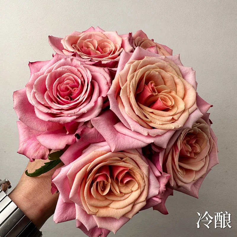 爱园花卉 冷酿 厄瓜多尔切花玫瑰复古调单头复色切花玫瑰大花月季