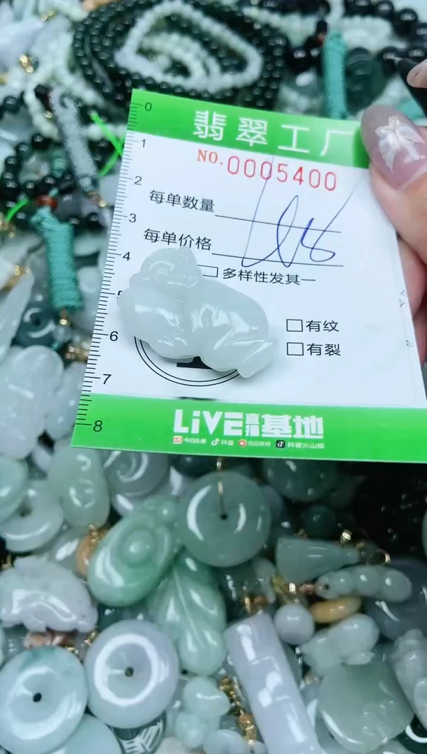 【闪购商品】翡翠颈饰未镶嵌翡翠