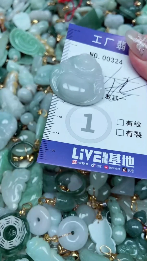 【闪购商品】翡翠颈饰未镶嵌翡翠