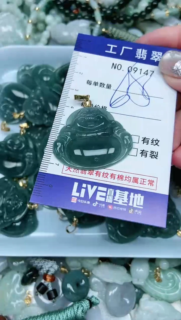 【闪购商品】翡翠颈饰未镶嵌翡翠