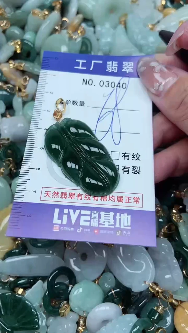 【闪购商品】翡翠颈饰未镶嵌翡翠