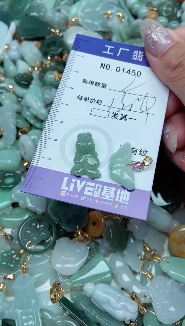 【闪购商品】翡翠颈饰未镶嵌翡翠