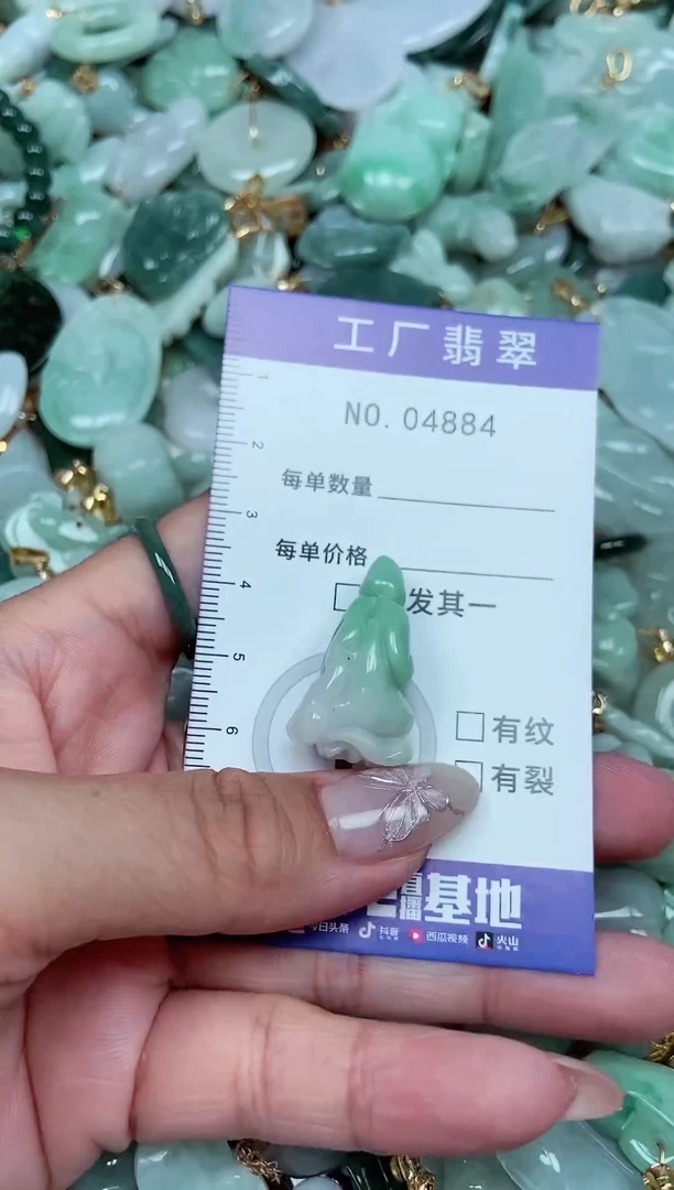 【闪购商品】翡翠颈饰未镶嵌翡翠