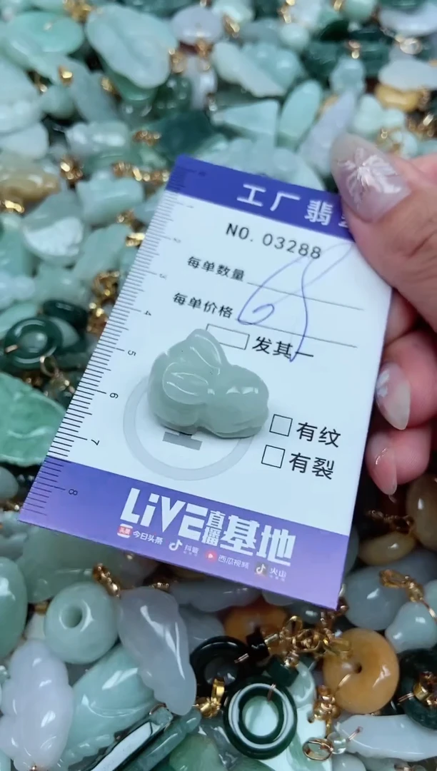 【闪购商品】翡翠颈饰未镶嵌翡翠