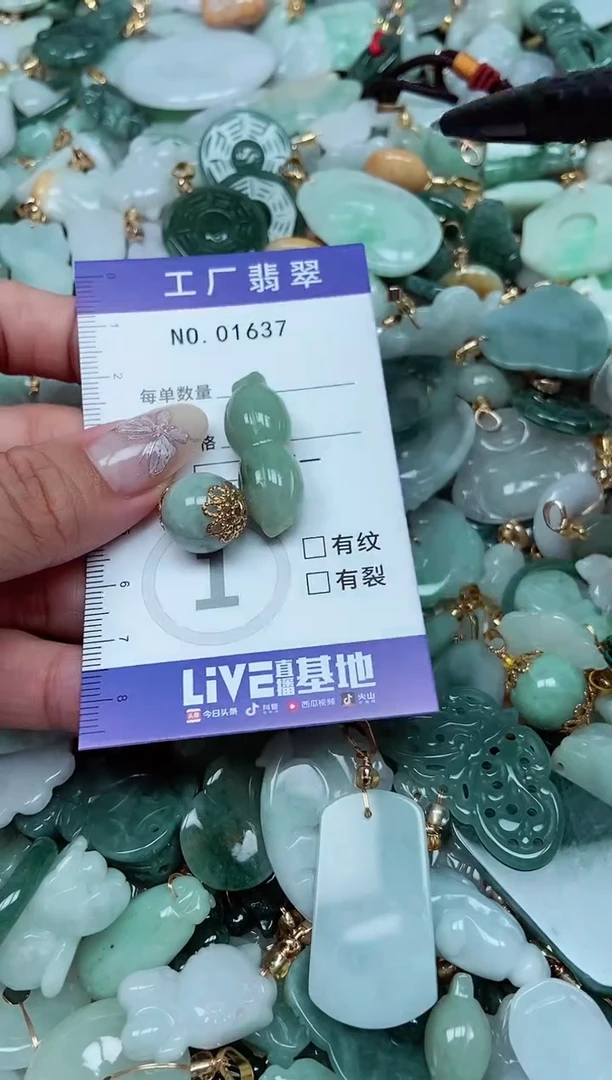 【闪购商品】翡翠颈饰未镶嵌翡翠