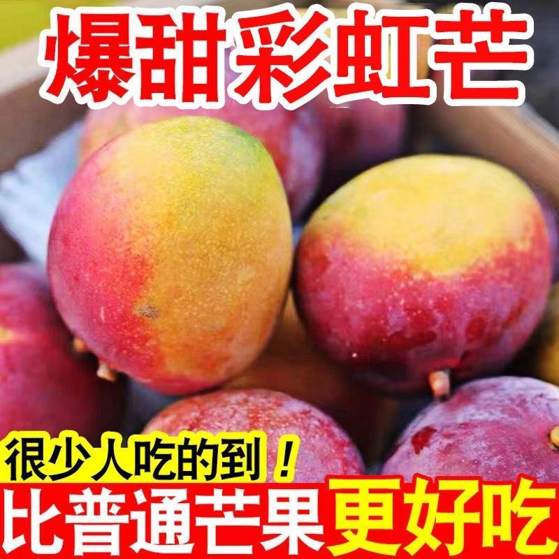广西百色苹果芒红芒彩虹芒澳芒爆甜肉厚新鲜水果产地直发5斤8斤