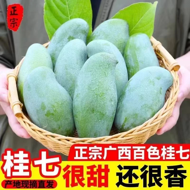 广西正宗百色田东桂七芒果当季新鲜水果青皮芒果香芒5斤9斤整箱