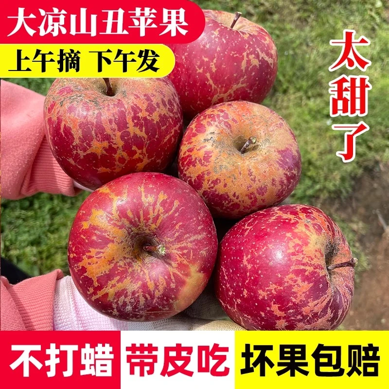 四川大凉山冰糖心苹果原产地直发5斤包邮 冰糖心丑苹果高山香甜