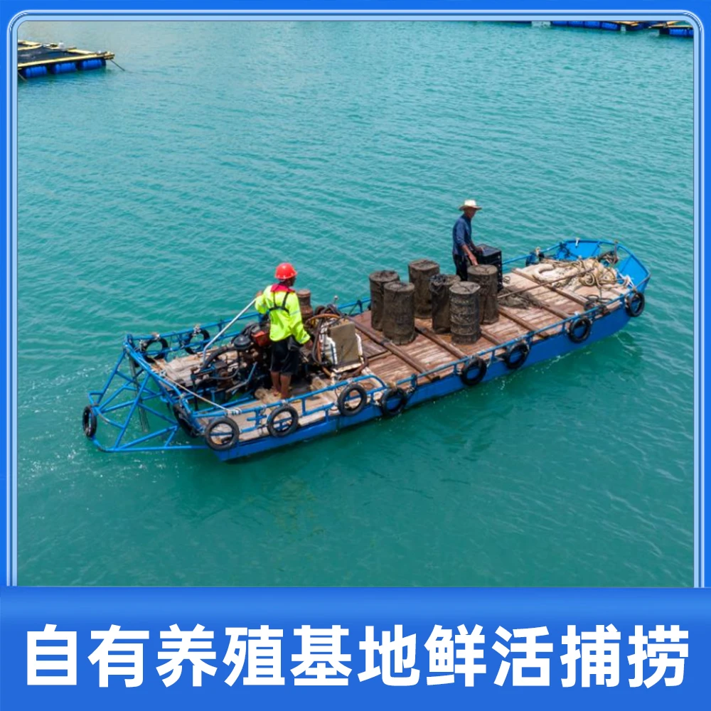 南日岛鲜活深海红古鱼支持代杀