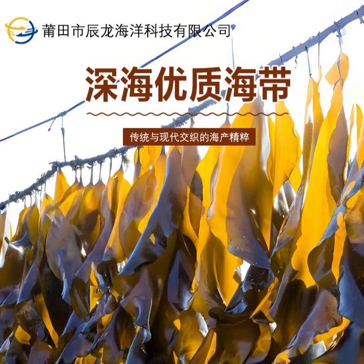 【尝鲜价】南日岛黑金条海带 厚实清脆又营养  国家地理标志产品