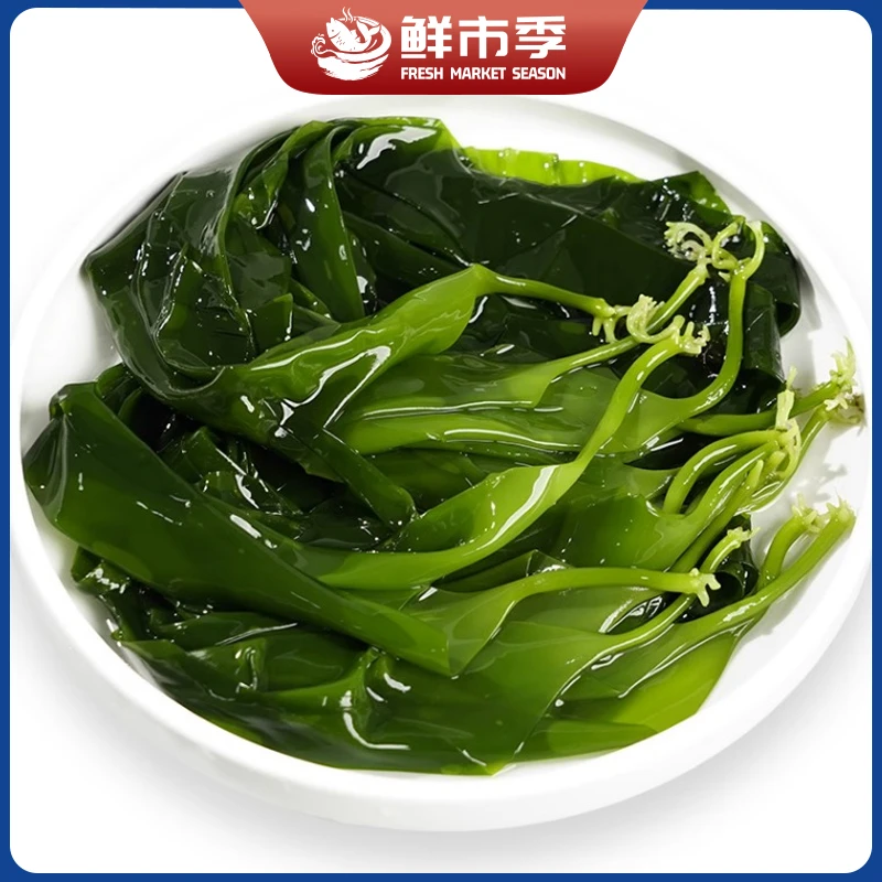 盐渍海带嫩苗 新鲜 海带嫩芽凉拌火锅