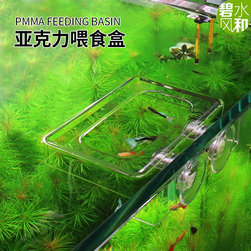 碧水风和鱼缸亚克力喂食圈鱼食悬浮防飘散金鱼乌龟饲料投食鱼神器