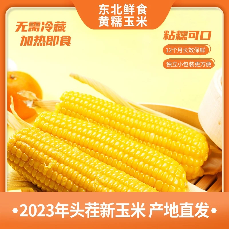 玉到米当季东北黄糯玉米12根以上2.5kg/箱以上真空非转软糯北纬