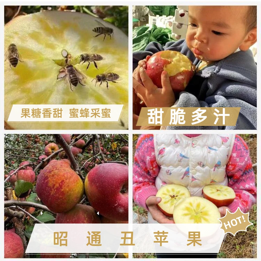 云南昭通正宗冰糖心丑苹果新鲜水果脆甜多汁果香十足特产包邮