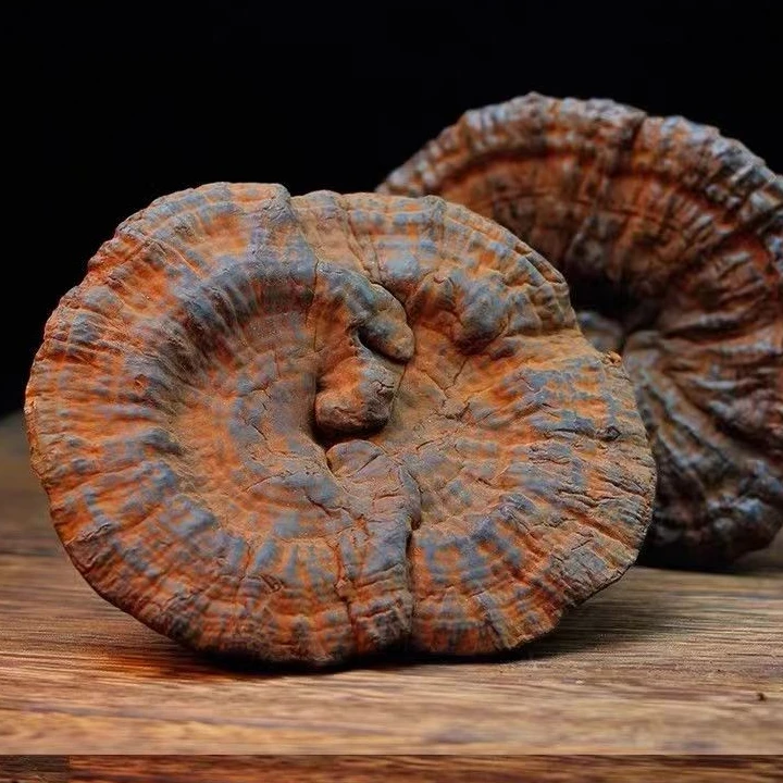 深山整根整枝紫灵芝