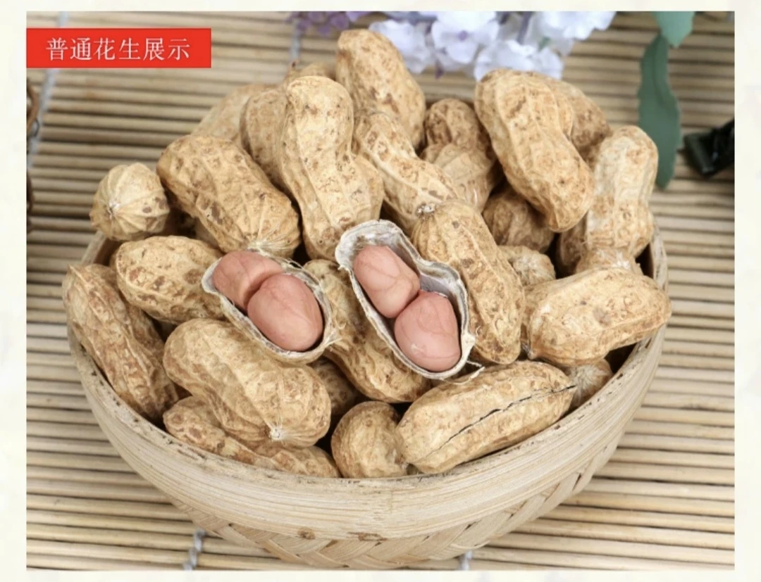 湖南宁远农家干花生干落花流生2023新大籽花生