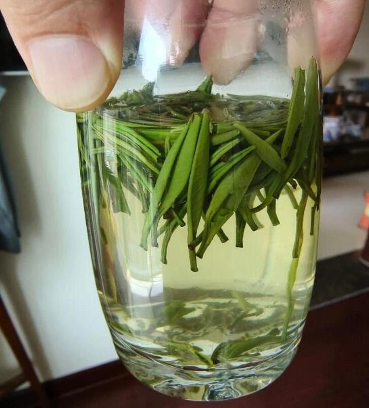 【4月3号上市清库存福利】2024新茶 全芽型头采香芽竹竹韵叶香250g