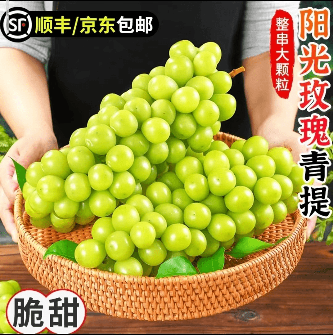 Z【顺丰/京东包邮】四川阳光玫瑰葡萄新鲜采摘饱满香甜多汁现摘现发