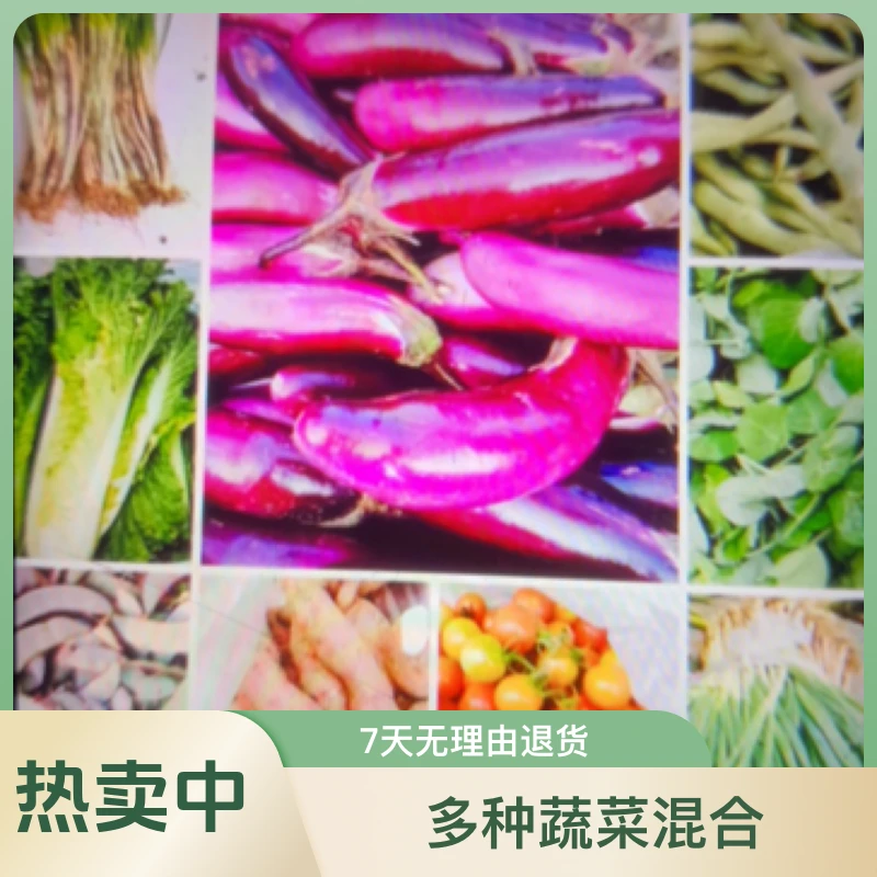 农家自种混合蔬菜