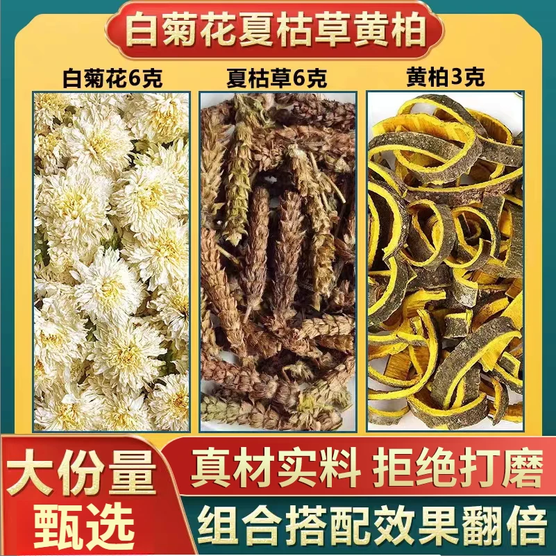 白菊花6克夏枯草6克黄柏3克代茶饮原料白菊花夏枯草黄柏代茶饮姜