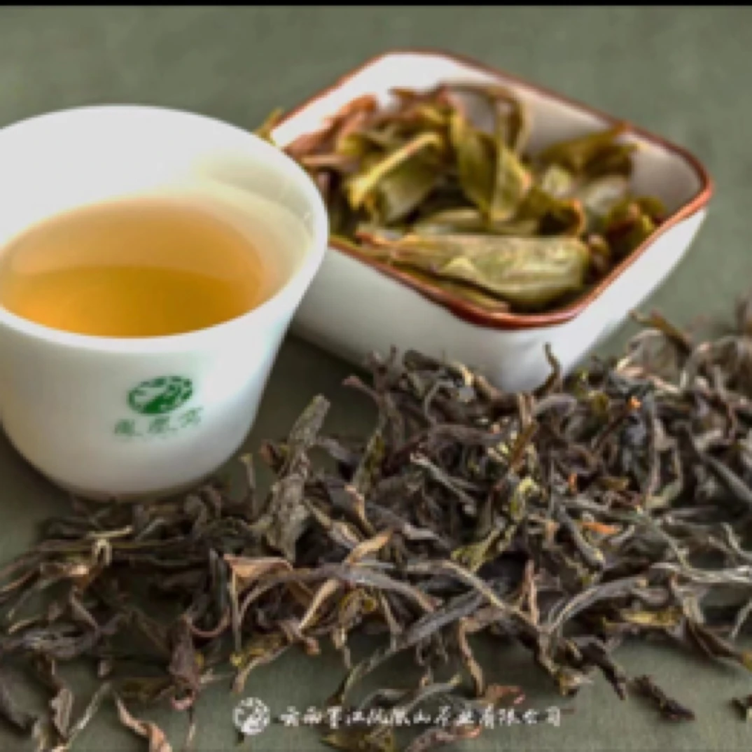 2024年凤凰窝三百年古树生茶16克试饮装