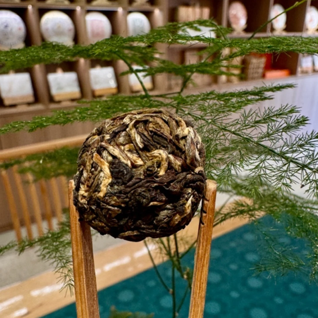 茶山专属2026年凤凰窝·头春龙珠古树生茶