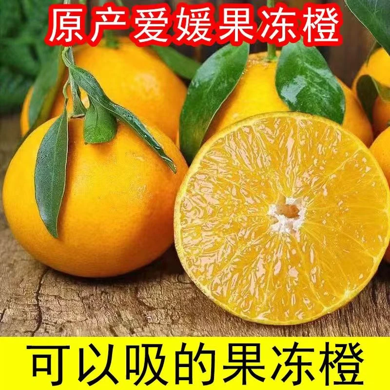 四川眉山爱媛38号果冻橙新鲜橙子当季水果柑橘甜蜜橘香甜多汁皮薄