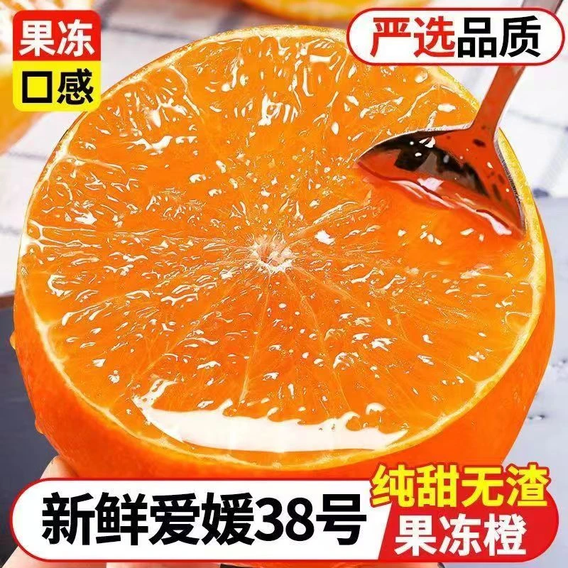 【现摘现发】正宗爱媛38号果冻橙4.5斤新鲜采摘应季水果坏果包赔