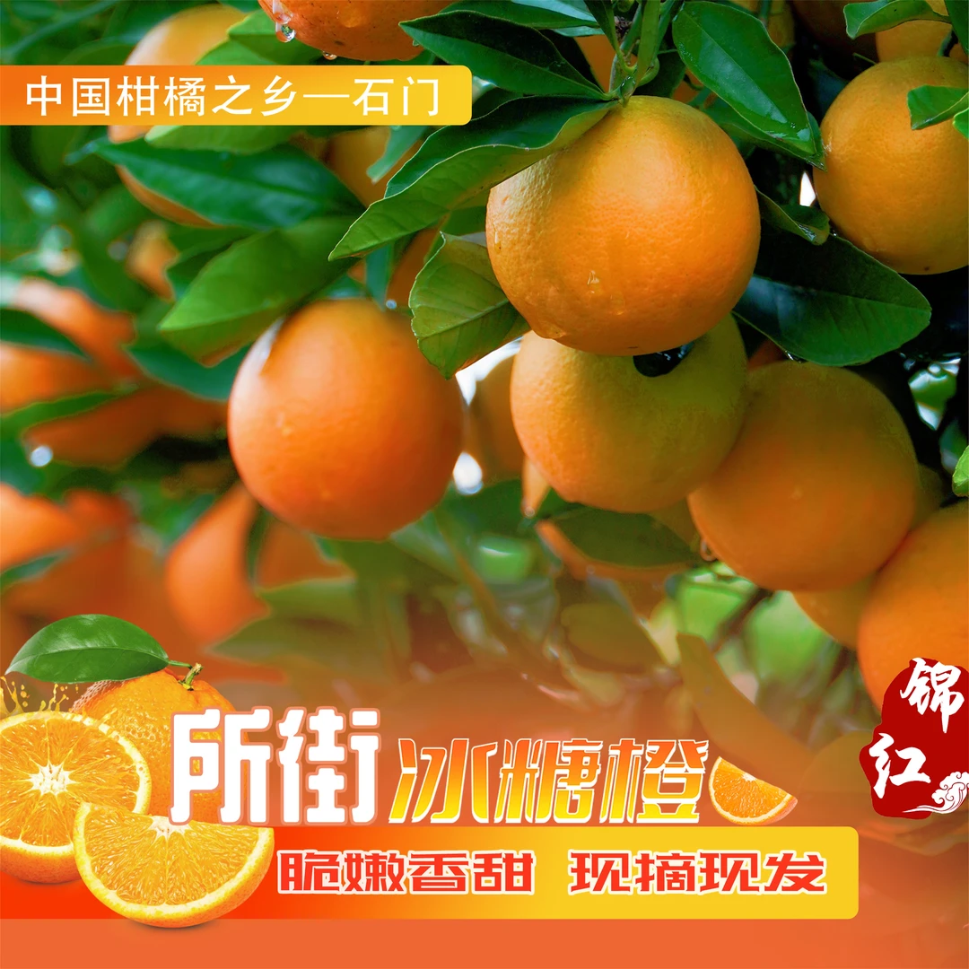 【9分甜现摘现发】湖南石门所街锦红冰糖橙新鲜水果皮纯甜5-9斤装