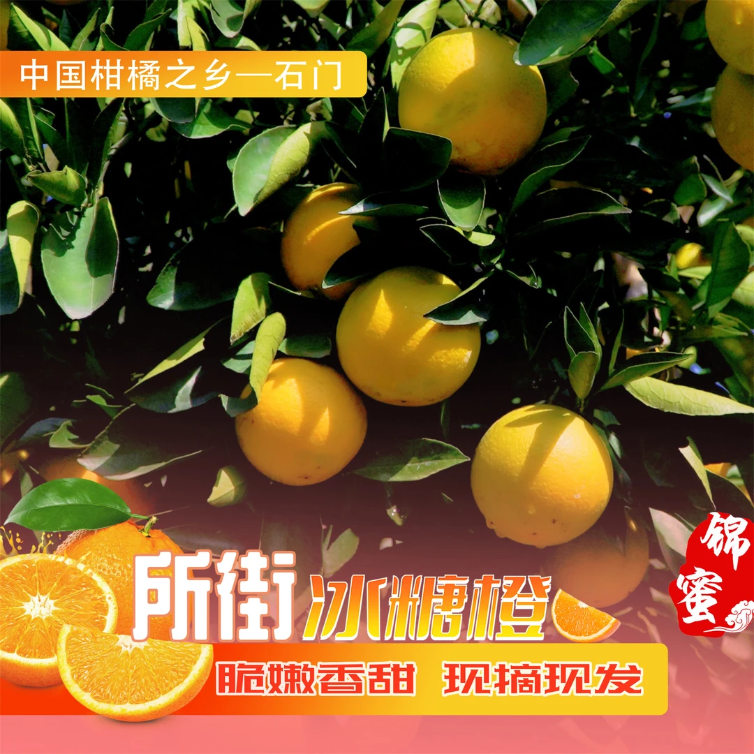 【纯甜无酸】现摘现发湖南石门所街锦蜜冰糖橙新鲜水果纯甜5-9斤装