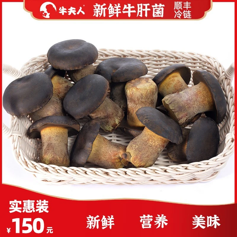 牛夫人新鲜牛肝菌1000g实惠装云南特产牛肝菌珍稀食用菌