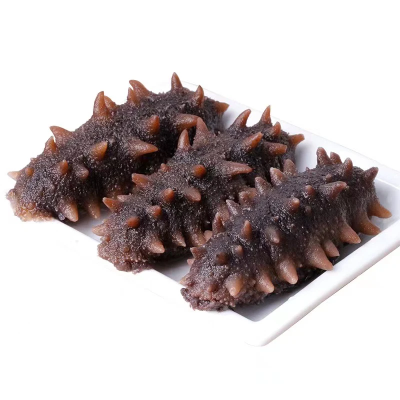 鲜食大连海参口感q弹