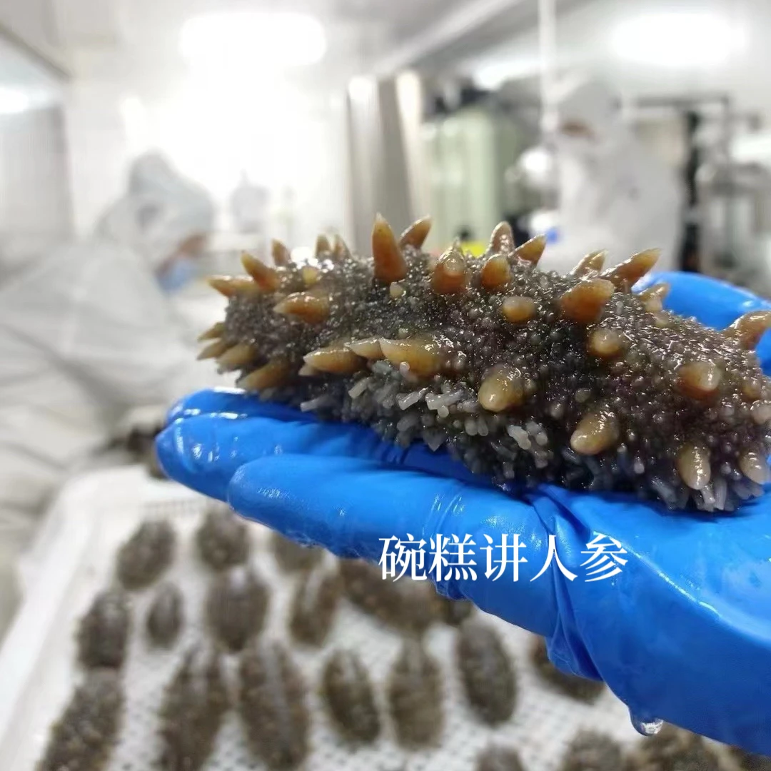 自用袋装高刺海参（高品质）口感劲道