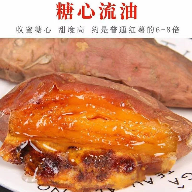 精选黄河滩烟薯25 香甜软糯 口齿留香 真真正正好蜜薯