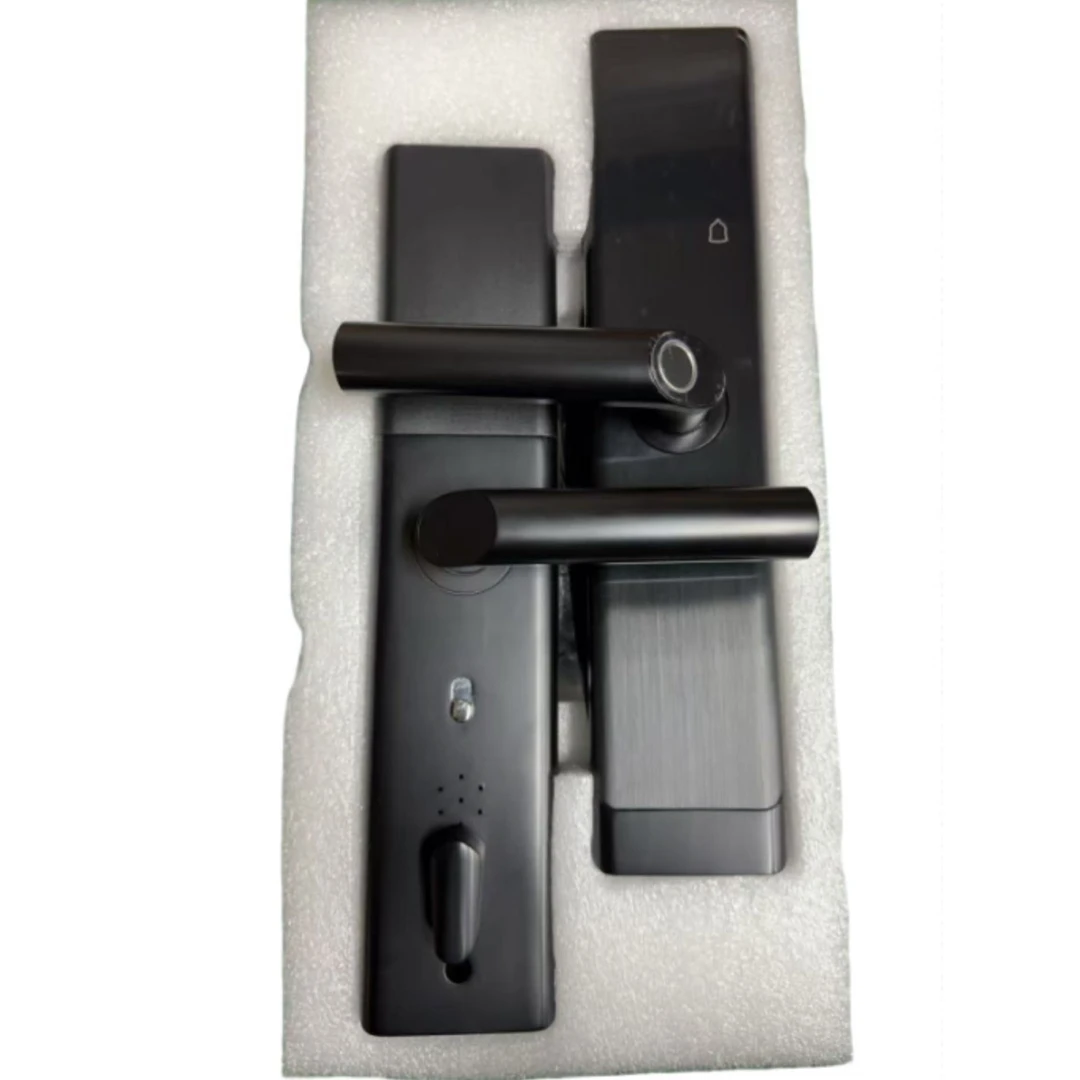 （宣）智能指纹门锁.无锁芯