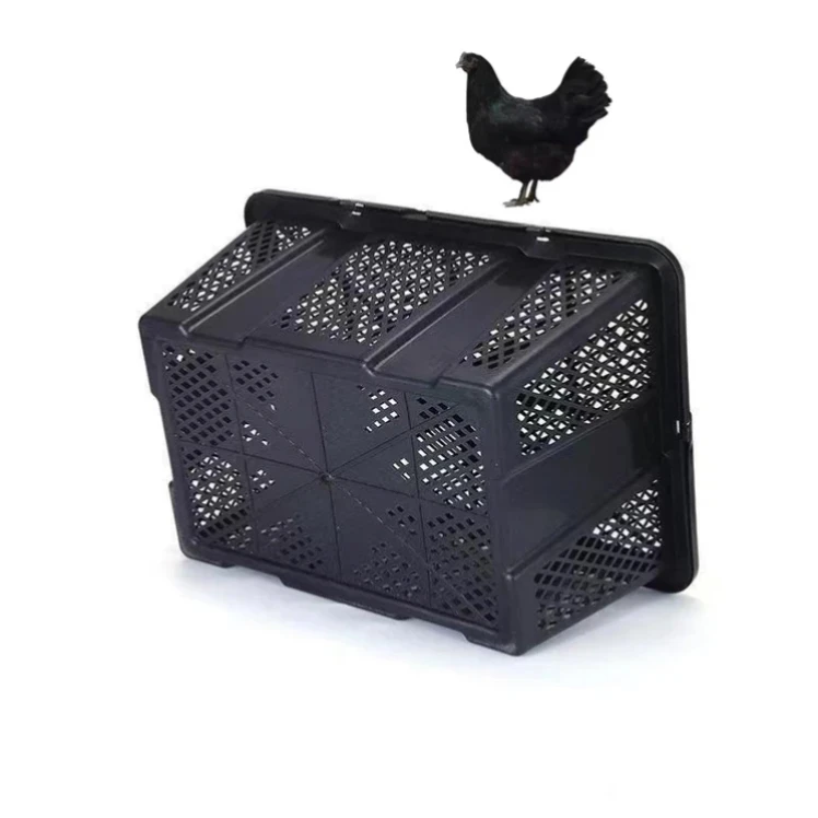 x黑凤鸡土鸡筐子实用箱子运输框重9两