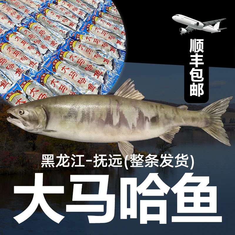 【顺丰包邮】抚远大马哈鱼整条  红肉 新鲜速冻